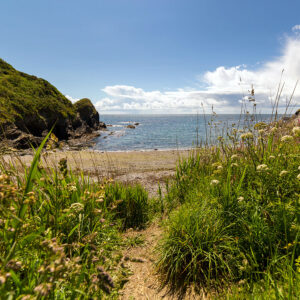 The gorgeous and secluded Lantic Bay beach, a hearty walk along the coastal path from Polruan, or for the less brave, a short walk from the National Trust car park.