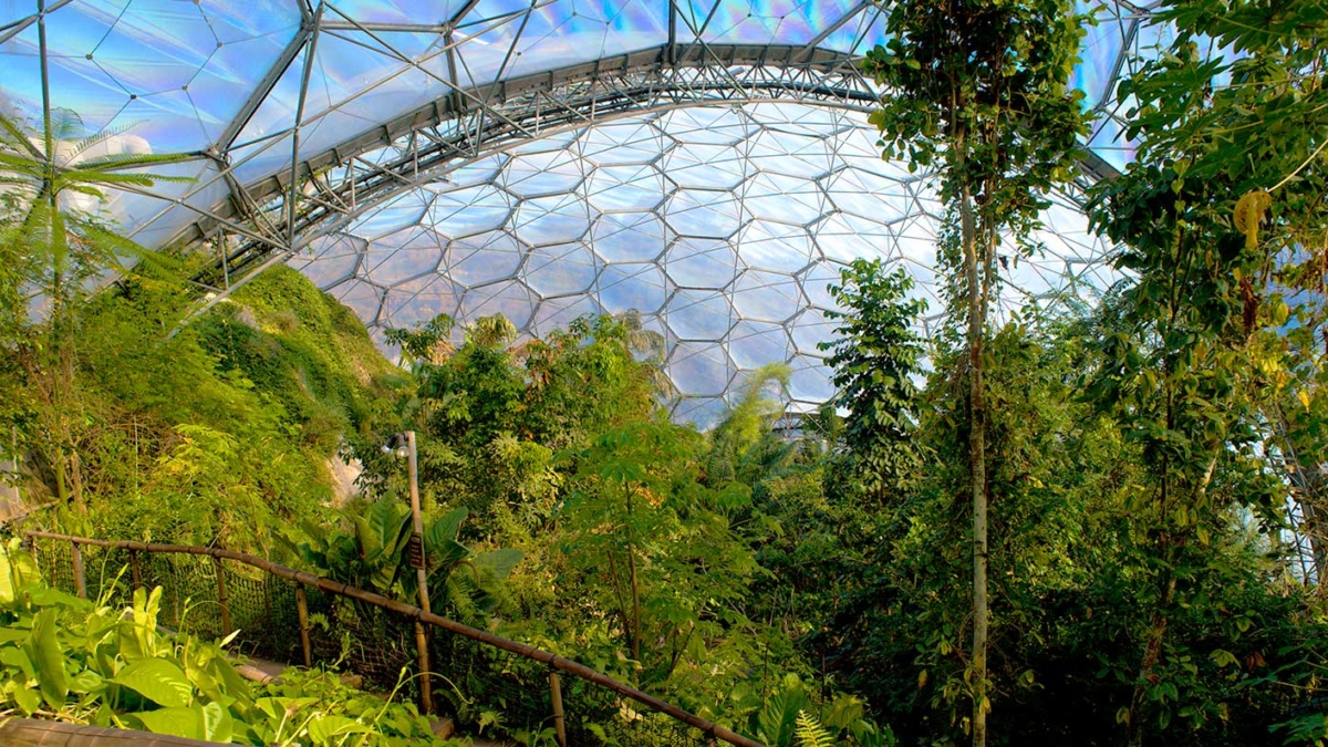 eden-project